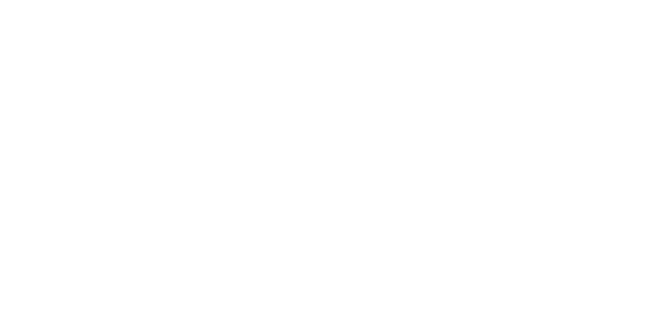 MetaWinner