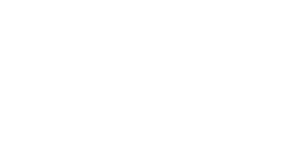 MetaWinner