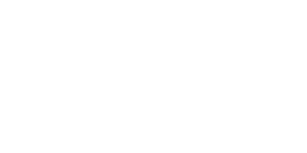 MetaWinner