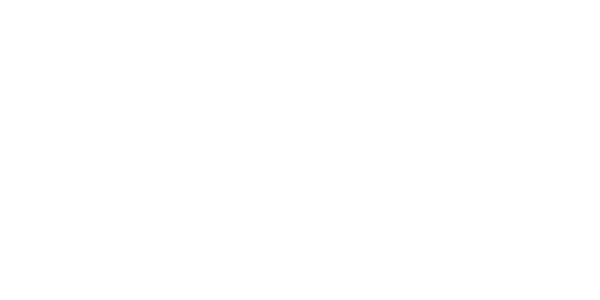 MetaWinner